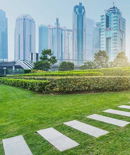 Contact LinkNow Media for Commercial Landscaping Services