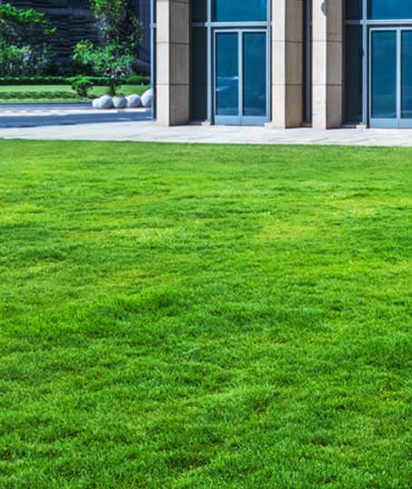 LinkNow Media Commercial Aeration