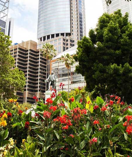 LinkNow Media Commercial Garden Design