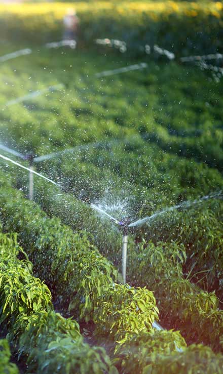 LinkNow Media Commercial Irrigation System Repair