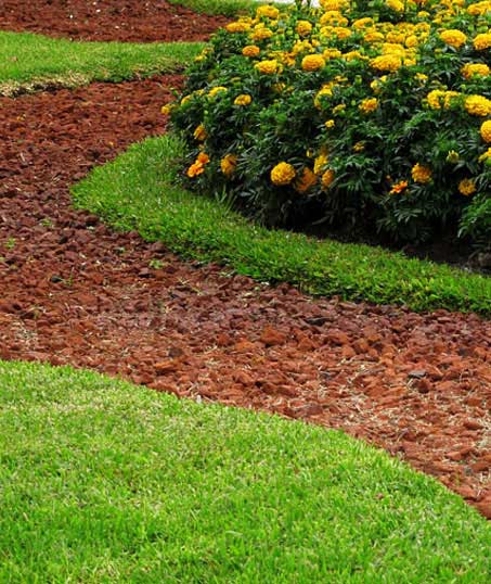 LinkNow Media Commercial Landscape Architecture