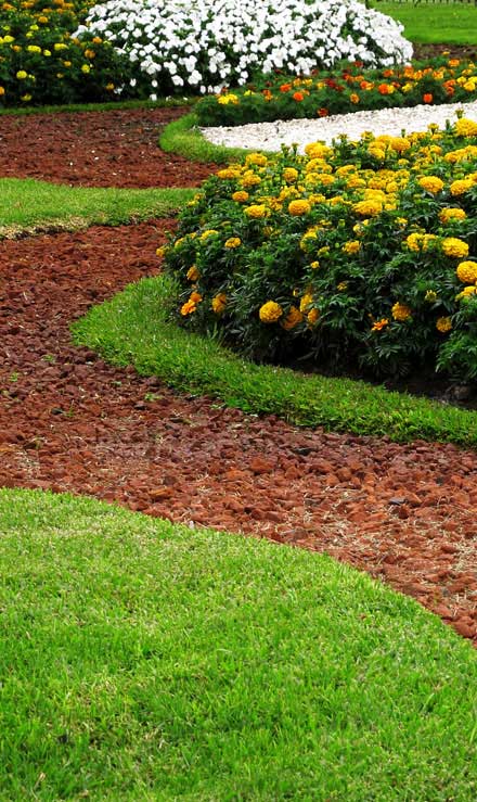 LinkNow Media Commercial Landscape Architecture