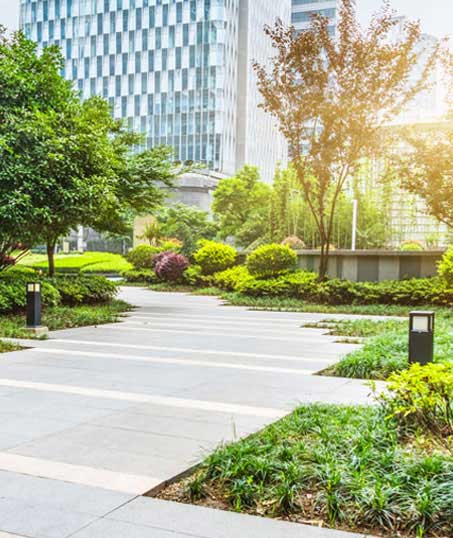 LinkNow Media Commercial Landscaping