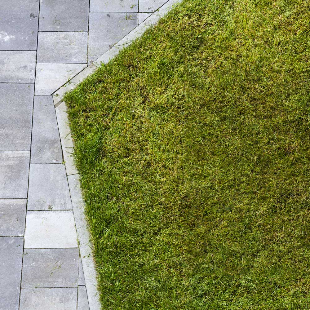 Lawn Dethatching Service