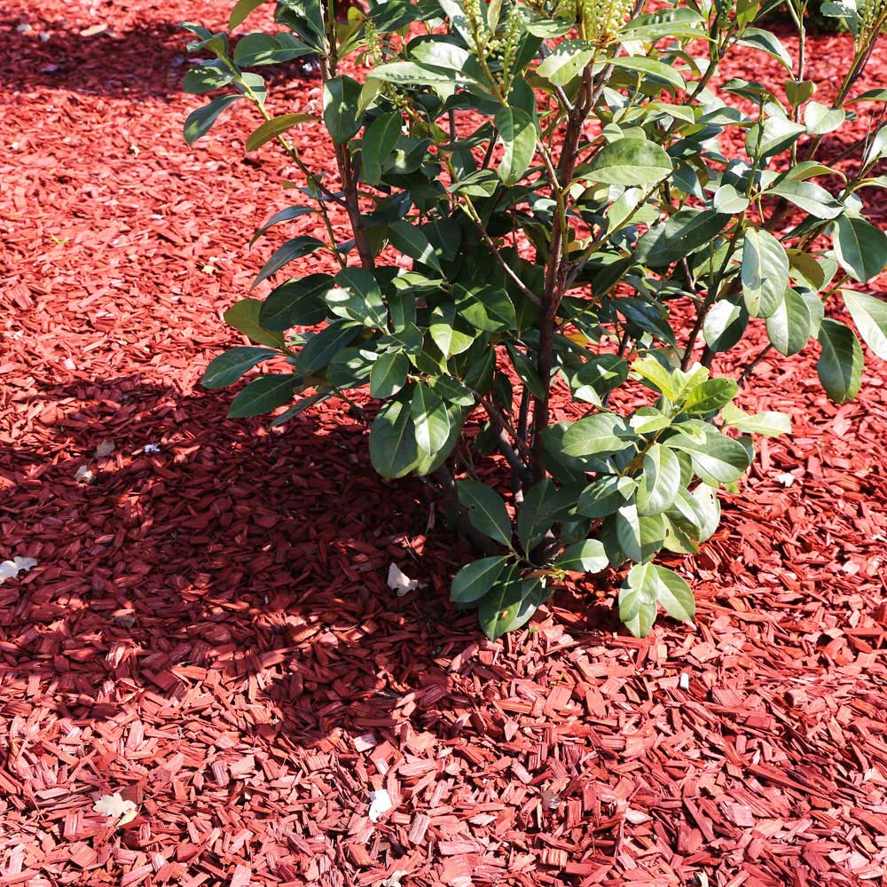 Mulching Service