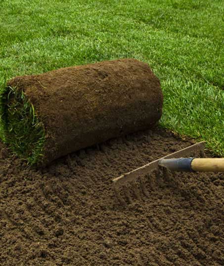 LinkNow Media Commercial Sod Installation