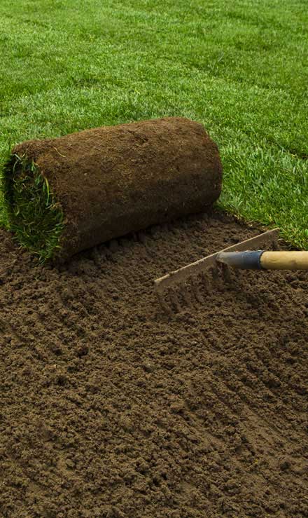 LinkNow Media Commercial Sod Installation