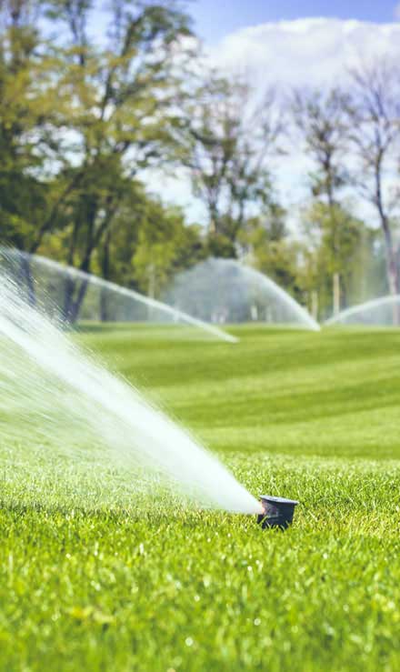LinkNow Media Commercial Sprinkler Installation
